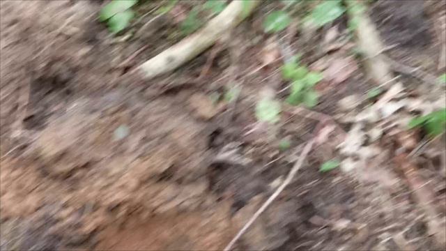 СОКРОВИЩЕ ушедших хуторов - поиск и шурф МЕТАЛЛОИСКАТЕЛЕМ! #деус2 #xpdeus2 #gopro11 #металлоискатель