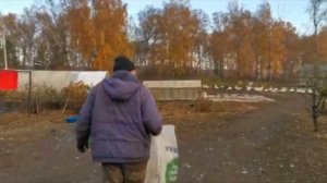 Сколько весит гусь ЛИНДА в 3 месяца. «Мое Подворье»
