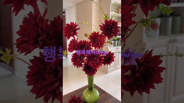 이꽃보고 행복해지세요 смотреть онлайн