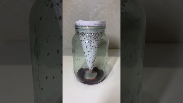 Строительные Чудеса