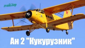Звук самолёта кукурузника Ан 2  Шум двигателя, пролёт мимо