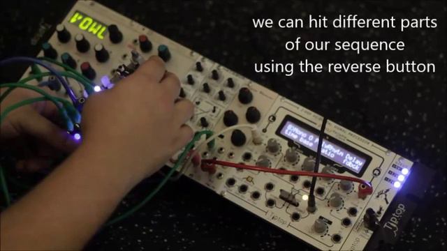 Nexus Instrument CV/Gate Looper - Performance Demo смотреть онлайн