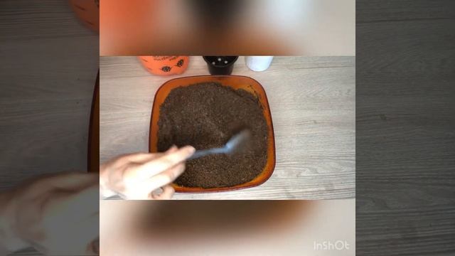 В какой грунт лучше сажать фиалки и как его приготовить? смотреть онлайн