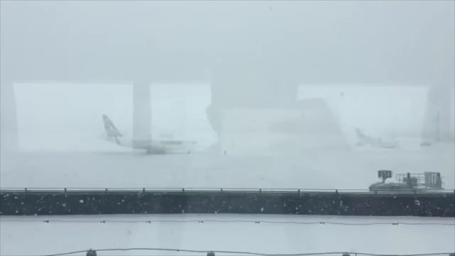 Urgent! Romania in mourning! Shocking footage of a snow storm in Bucharest! The country is stopped! смотреть онлайн