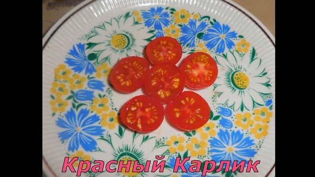 Детерминантные томаты, карлики и гномы смотреть онлайн