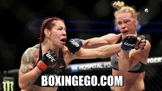UFC 219: CRIS CYBORG TAMES STYLE 2 BEAT HOLLY HOLM OVER 5 | CYBORG VS HOLM FULL FIGHT CHAT BOXINGEG смотреть онлайн