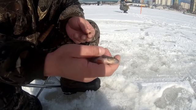 Рыбалка в Бутаковском заливе смотреть онлайн