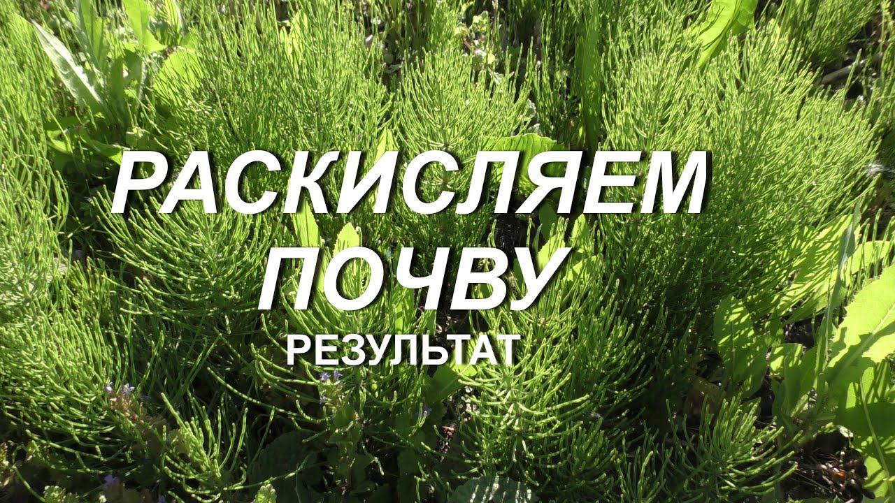 РЕЗУЛЬТАТ РАСКИСЛЕНИЯ ПОЧВЫ смотреть онлайн