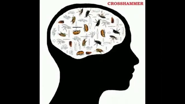 Лудо семейство смотреть онлайн