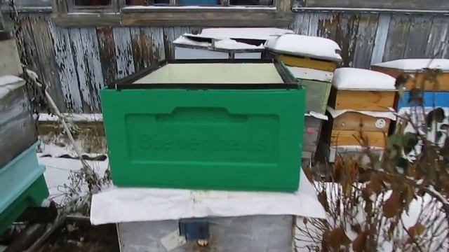 разная методика зимовки пчел - зимовка пчел с максимально закрытыми летками для экономии корма смотреть онлайн