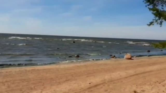 И. Северянин. К морю. смотреть онлайн