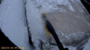 Lexus RX-300 АКПП, проблема или ложная Панника. ч.1.