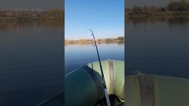 Ловля окуня в отвес.На удилище Firefly 0.5-4гр смотреть онлайн