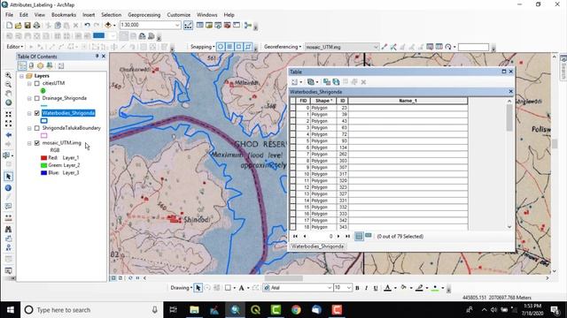 Attributes, Labeling, Mask and Mosaic tools in ESRI's ArcGIS Software смотреть онлайн