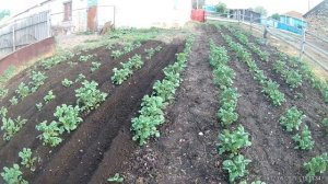 Насадка культиватор на бензокосу