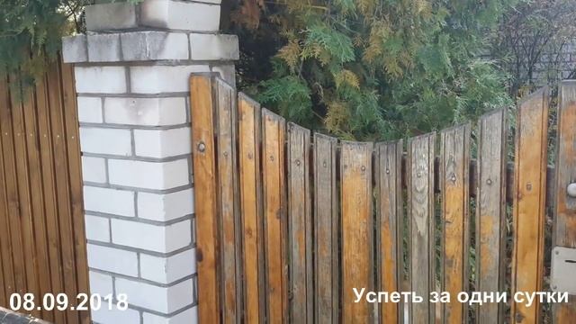 08.09.2018. НАШ ОБНОВЛЁННЫЙ ЗАБОР. ФОТО ИЗ СЕМЕЙНОГО АЛЬБОМА. смотреть онлайн