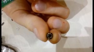 Как починить колесико мышки своими руками? (ремонт скролла A4 Tech G7-630)