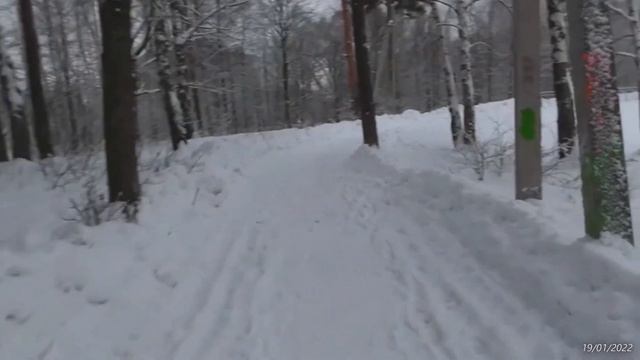 2022/01/19: Варварски раскуроченная трактором накануне Крещения тропа (природа) на Лесном в Заречно смотреть онлайн