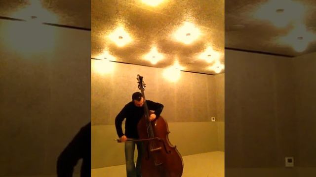 BOTTESINI FLEXOCORD PIRASTRO string. Damián Rubido González, bass. Follow the links for+strings смотреть онлайн