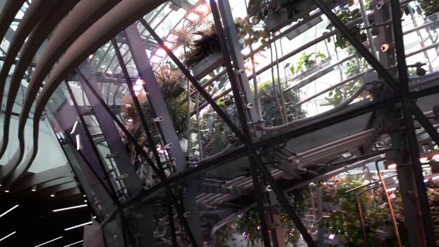 Москва. Парк Зарядье. Павильон смотреть онлайн