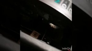 Hyundai terracan не работает овердрайв основная причина.