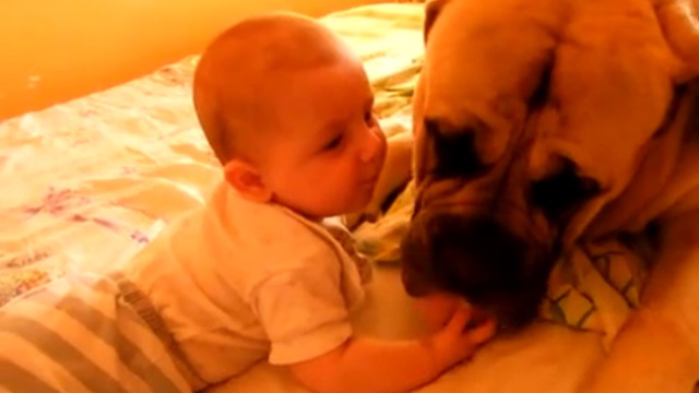 Малыш и пес-добряк смотреть онлайн