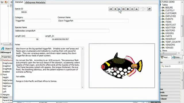New dbExpress driver for Firebird in Delphi 2010 and C Builder 2010 смотреть онлайн