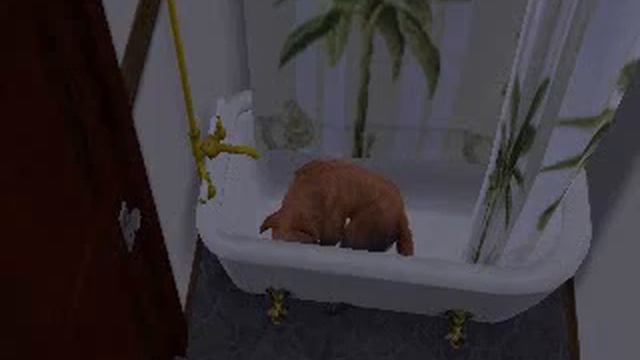 Sleepin' смотреть онлайн