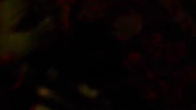 фильм монстер хай часть 3 смотреть онлайн