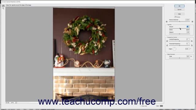 Learn How to Correct Camera Distortions in Adobe Photoshop Elements 2022: A Training Tutorial смотреть онлайн