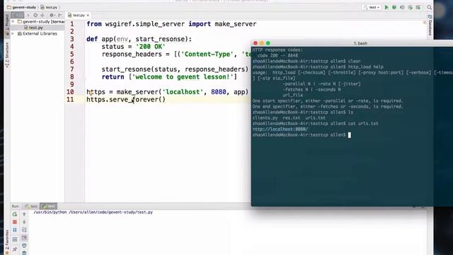 Gevent-16.gevent.WSGIServer使用 смотреть онлайн
