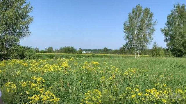 «Родина» смотреть онлайн