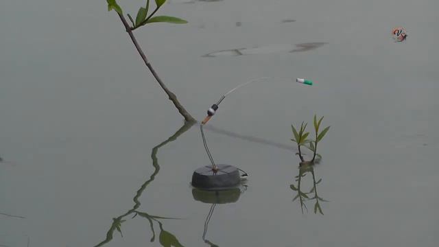 Мой Поплавок с Кивком собственной конструкции, Схема Fishing angeln la pesca câu cá 钓鱼 рыбалка (1) смотреть онлайн