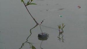 Мой Поплавок с Кивком собственной конструкции, Схема Fishing angeln la pesca câu cá 钓鱼 рыбалка (1)