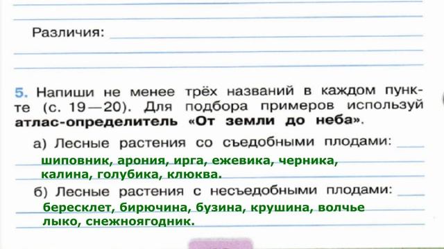 Окружающий мир. Рабочая тетрадь 2 класс 2 часть. ГДЗ стр. 17 №5 смотреть онлайн