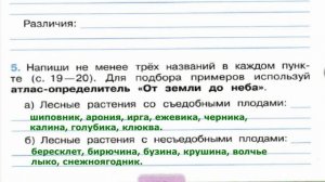 Окружающий мир. Рабочая тетрадь 2 класс 2 часть. ГДЗ стр. 17 №5