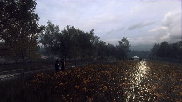 DiRT Rally 2.0 - Porsche 911 SC RS смотреть онлайн