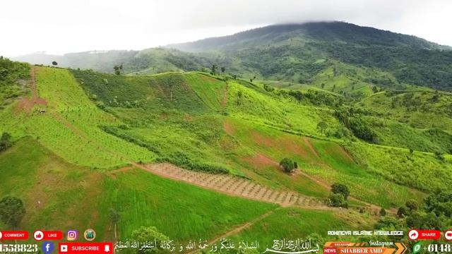 Rohingya Islamic knowledge 20/06/2023 Today Breaking news Most Important points please don't miss смотреть онлайн