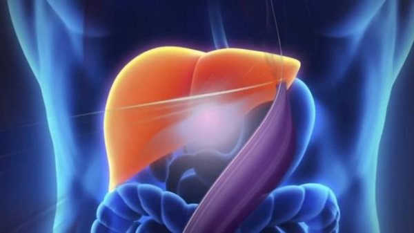 МАТРИЦА ГАРЯЕВА.  РЕГЕНЕРАЦИЯ И ОЧИЩЕНИЕ ПЕЧЕНИ 
чистая матрица