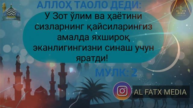 226-Савол: Итларни ўлдириш жоизми? (Шайх Абдуллоҳ Зуфар Ҳафизаҳуллоҳ) смотреть онлайн