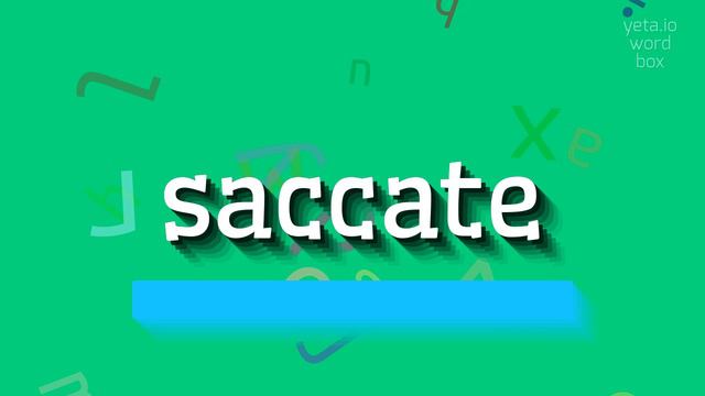 SACCATE - HOW TO SAY SACCATE? #saccate смотреть онлайн