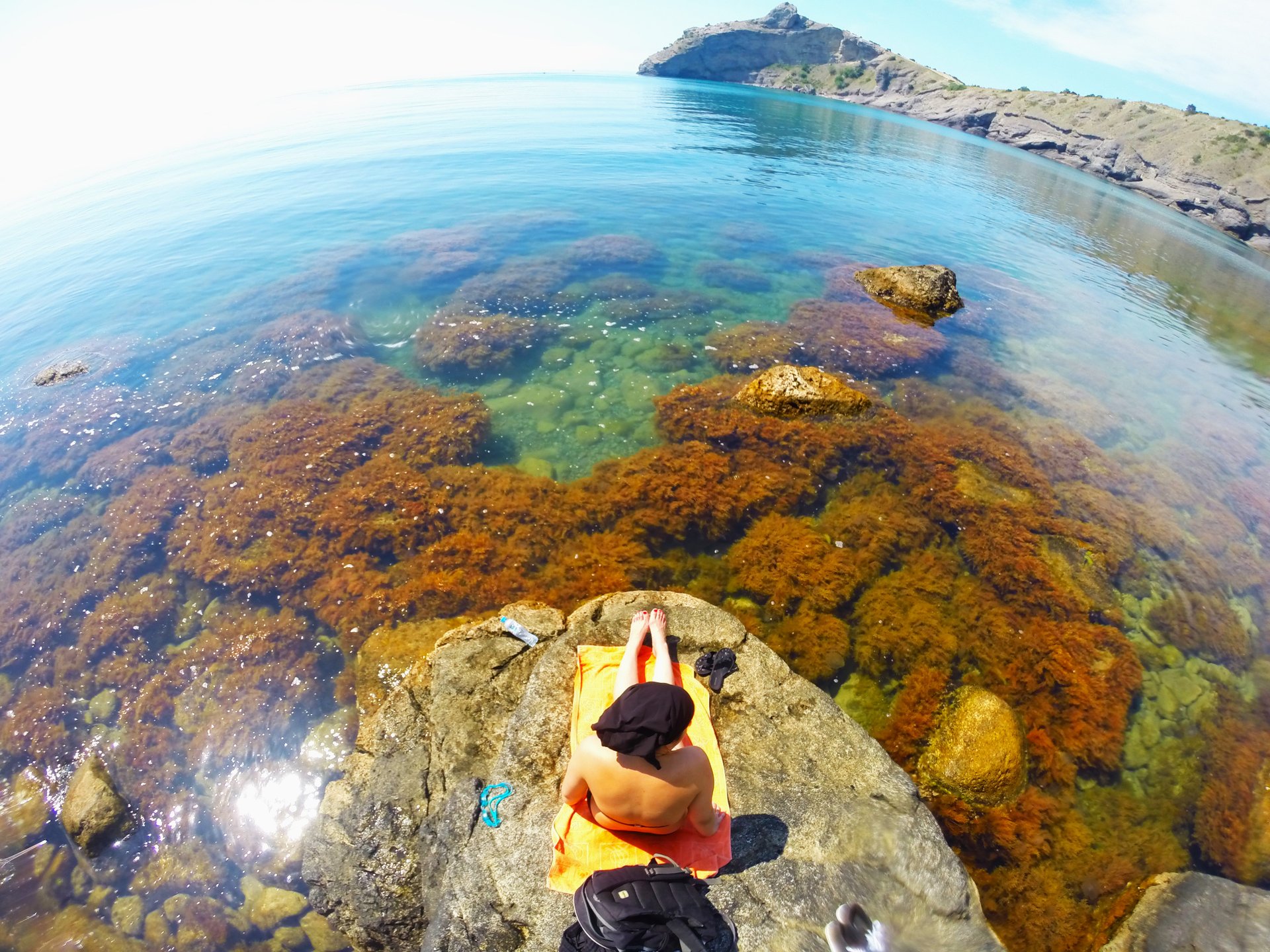 Крым Новый свет 2017