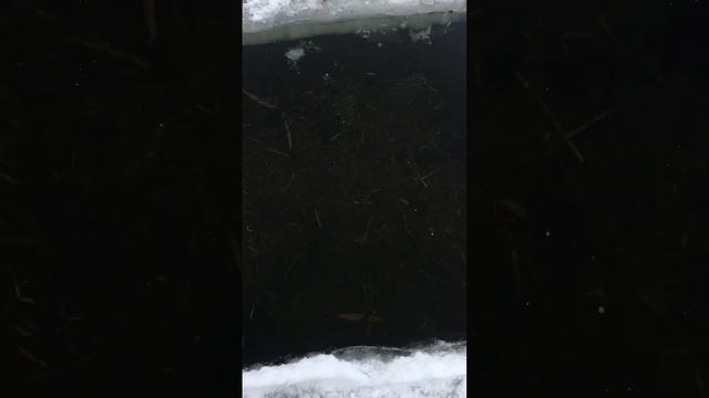 Долбим лёд 🧊 Спасаем рыбку смотреть онлайн