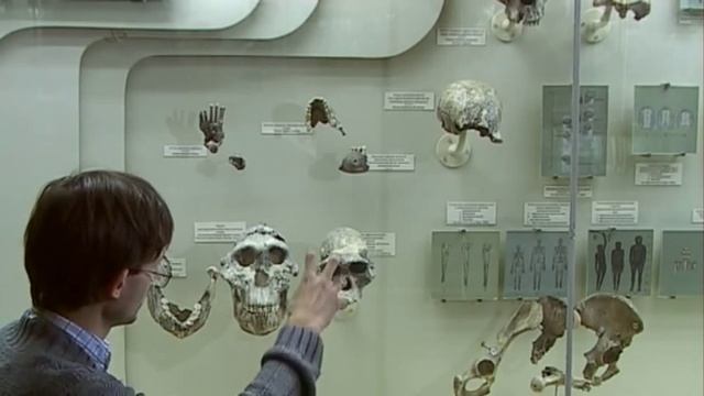 Станислав Дробышевский. Древнейшие люди - хабилисы. Достающее звено #18 смотреть онлайн