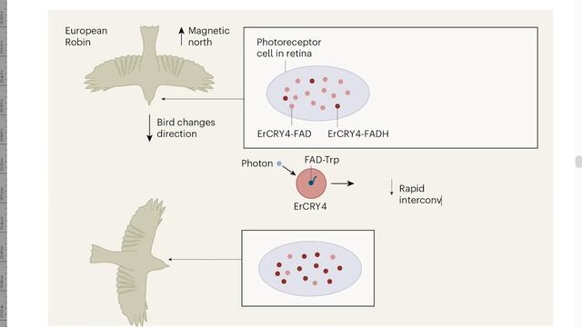 How to create scientific graphics: an inside look from Nature смотреть онлайн