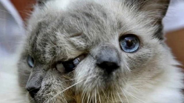 Самые невероятные мутанты в Истории.  Шокирующие факты