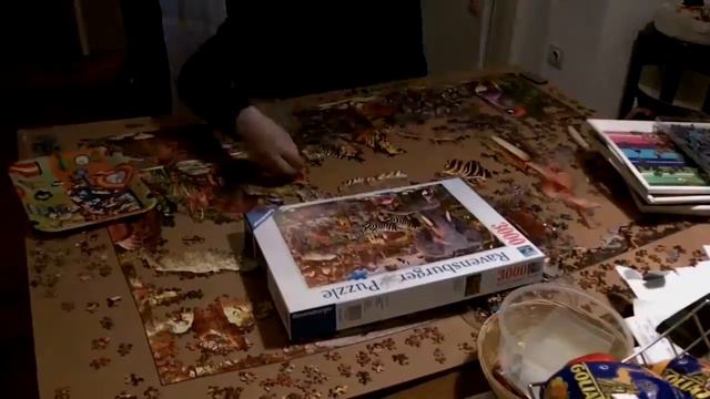 3000 Piece Ravensburger Puzzle 