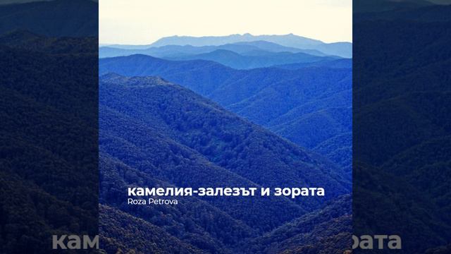 камелия-залезът и зората смотреть онлайн