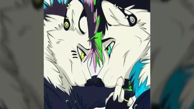 Пары волки фурряшки : з смотреть онлайн