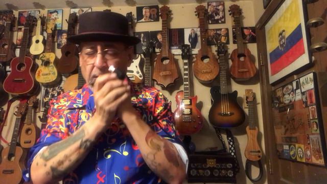 Blues Improvisation in G, on a Seydel 1847 Lightning Harmonica. смотреть онлайн